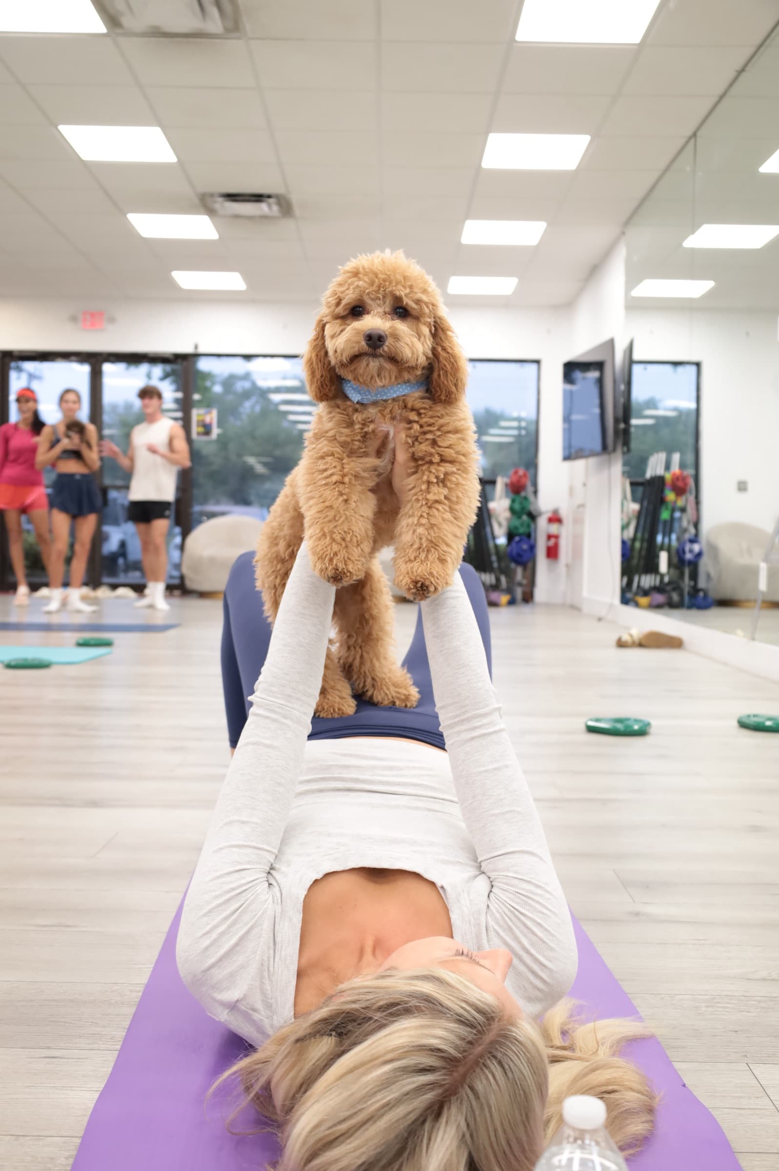 A woman lying on a purple mat in the studio, holding a curly-haired dog up at arm’s length.